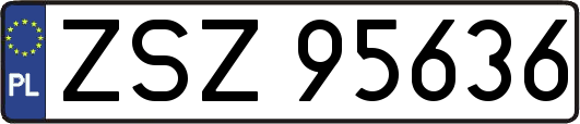 ZSZ95636
