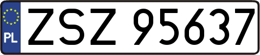 ZSZ95637