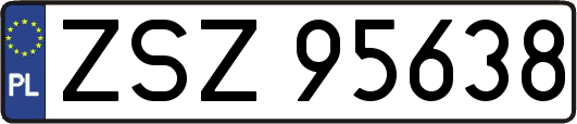 ZSZ95638