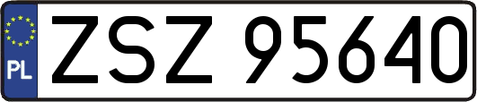 ZSZ95640