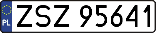 ZSZ95641