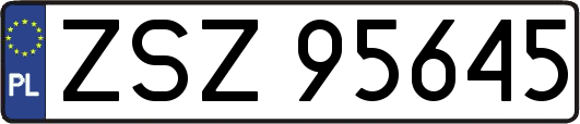 ZSZ95645