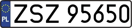 ZSZ95650