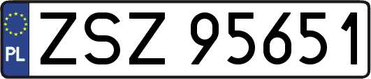 ZSZ95651