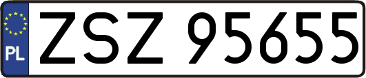 ZSZ95655