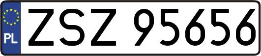 ZSZ95656