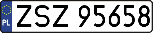 ZSZ95658