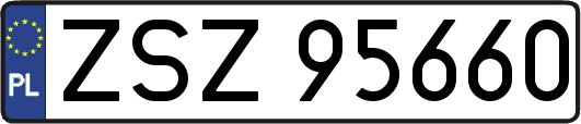 ZSZ95660