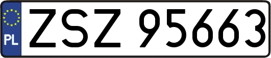 ZSZ95663