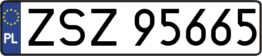 ZSZ95665