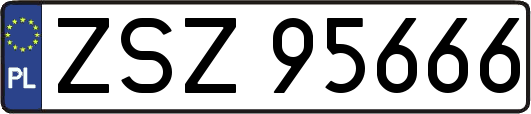 ZSZ95666