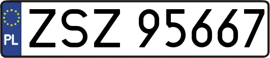 ZSZ95667