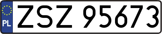 ZSZ95673