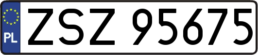 ZSZ95675