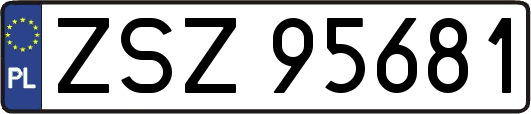 ZSZ95681