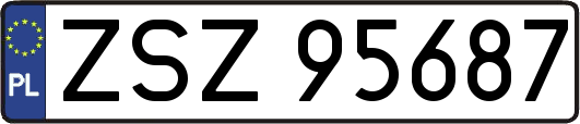 ZSZ95687