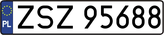 ZSZ95688