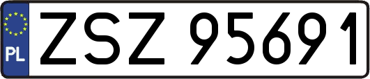 ZSZ95691