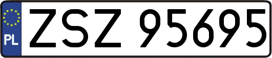 ZSZ95695