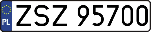 ZSZ95700