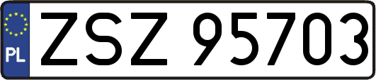 ZSZ95703