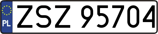 ZSZ95704