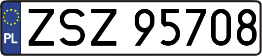 ZSZ95708