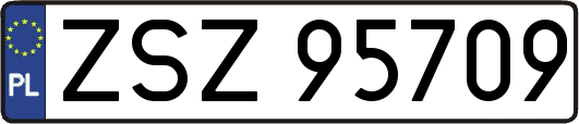 ZSZ95709