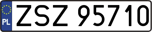 ZSZ95710