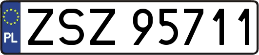 ZSZ95711