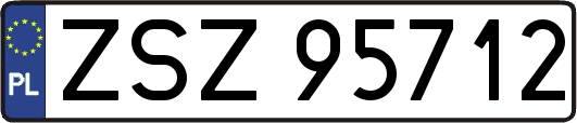 ZSZ95712