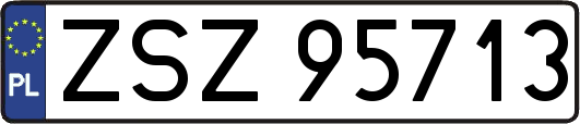 ZSZ95713