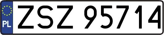 ZSZ95714
