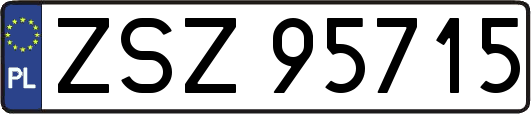 ZSZ95715