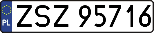ZSZ95716