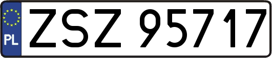 ZSZ95717