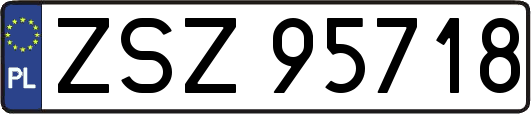ZSZ95718