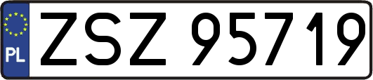 ZSZ95719