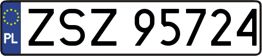 ZSZ95724