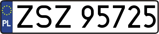 ZSZ95725