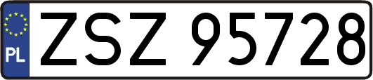 ZSZ95728