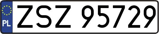 ZSZ95729