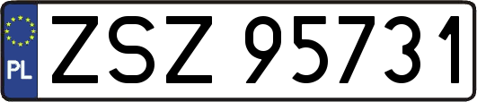 ZSZ95731