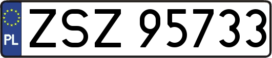 ZSZ95733