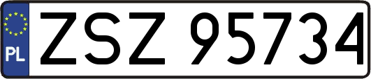ZSZ95734