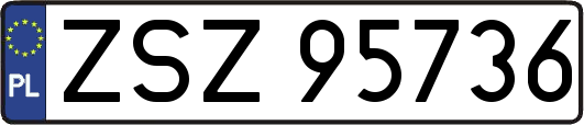 ZSZ95736