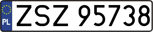 ZSZ95738