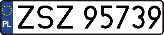 ZSZ95739