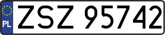 ZSZ95742