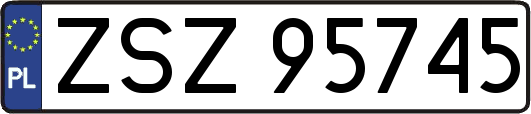 ZSZ95745